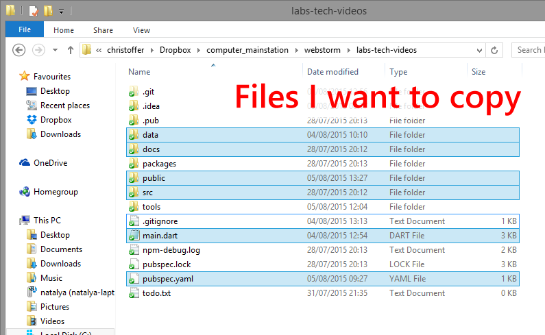 Files I want to copy